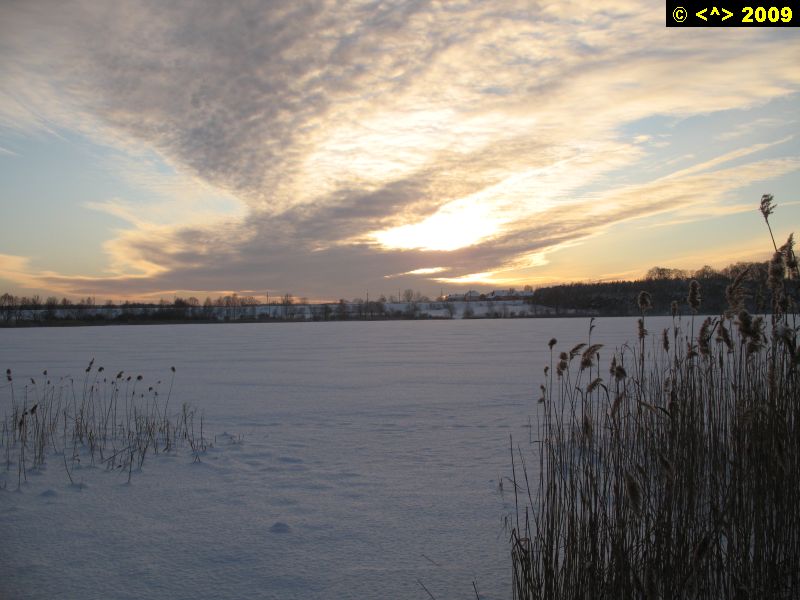 P0000383.jpg