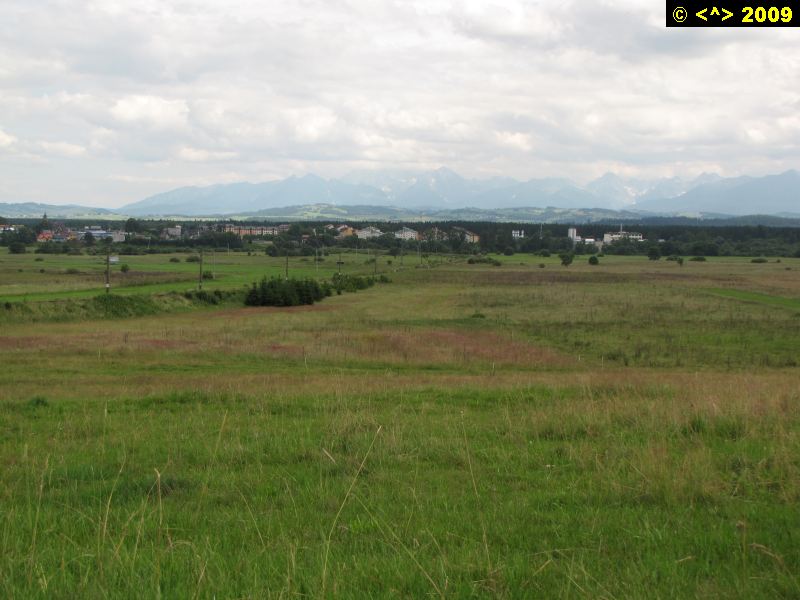 P0000431.jpg